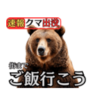 ヒグマ出没！注意（個別スタンプ：5）