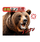 ヒグマ出没！注意（個別スタンプ：12）