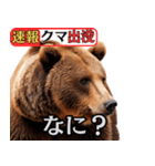 ヒグマ出没！注意（個別スタンプ：16）