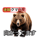 ヒグマ出没！注意（個別スタンプ：19）