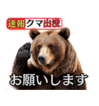 ヒグマ出没！注意（個別スタンプ：37）