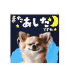 日常会話 チワワ（敬語）（個別スタンプ：32）