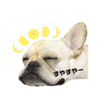 しめじすたんぷ！（個別スタンプ：8）