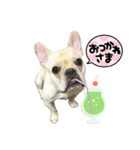 しめじすたんぷ！（個別スタンプ：9）