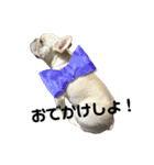 しめじすたんぷ！（個別スタンプ：11）