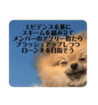 ポメラニアンちもちゃんのビジネス用語（個別スタンプ：5）
