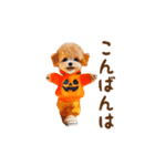 おどる癒しわんこハロウィン（個別スタンプ：8）