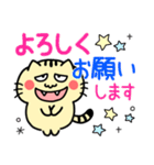 毎日使える！にゃこまる日常会話（個別スタンプ：3）