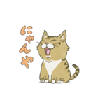 靴下ねこのくっく（個別スタンプ：2）