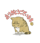 靴下ねこのくっく（個別スタンプ：15）