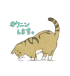 靴下ねこのくっく（個別スタンプ：16）