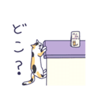 ねこさまと時々下僕の日常（個別スタンプ：7）