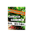 写真にズバリ言うで、ポスターセット02（個別スタンプ：2）