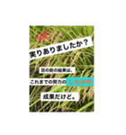 写真にズバリ言うで、ポスターセット02（個別スタンプ：10）