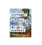 写真にズバリ言うで、ポスターセット02（個別スタンプ：11）