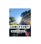 写真にズバリ言うで、ポスターセット02（個別スタンプ：14）