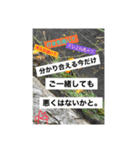 写真にズバリ言うで、ポスターセット02（個別スタンプ：27）