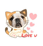 my bulldog♡（個別スタンプ：12）