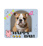 my bulldog♡（個別スタンプ：13）