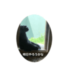 ゴリラのつぶやき語（個別スタンプ：1）