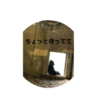 ゴリラのつぶやき語（個別スタンプ：7）