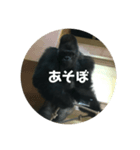 ゴリラのつぶやき語（個別スタンプ：8）