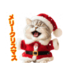 サンタ猫と一緒に楽しいクリスマスを！（個別スタンプ：1）