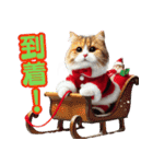 サンタ猫と一緒に楽しいクリスマスを！（個別スタンプ：8）