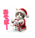 サンタ猫と一緒に楽しいクリスマスを！（個別スタンプ：16）