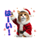 サンタ猫と一緒に楽しいクリスマスを！（個別スタンプ：19）