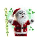 サンタ猫と一緒に楽しいクリスマスを！（個別スタンプ：20）