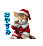 サンタ猫と一緒に楽しいクリスマスを！（個別スタンプ：24）