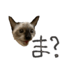お酒とネコ好きな日常会話 18（個別スタンプ：39）