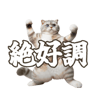 毎日使える日常会話☆返信で使える☆猫ネコ（個別スタンプ：2）