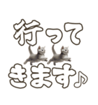 毎日使える日常会話☆返信で使える☆猫ネコ（個別スタンプ：4）