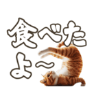 毎日使える日常会話☆返信で使える☆猫ネコ（個別スタンプ：9）