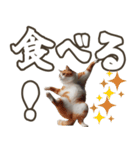 毎日使える日常会話☆返信で使える☆猫ネコ（個別スタンプ：10）