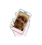 画面に映るわんこ（個別スタンプ：3）