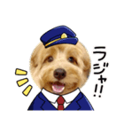 画面に映るわんこ（個別スタンプ：4）