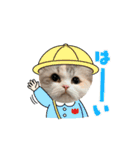 ぽむにゃん！（個別スタンプ：1）