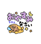 ぽむにゃん！（個別スタンプ：5）