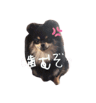 あいLAND（個別スタンプ：7）