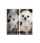 季節のcoco ＆胡音（個別スタンプ：4）