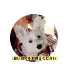 季節のcoco ＆胡音（個別スタンプ：8）