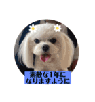 季節のcoco ＆胡音（個別スタンプ：9）