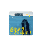 動く黒柴てつ（個別スタンプ：2）