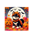 黒柴犬のハロウィン（個別スタンプ：1）