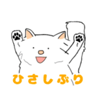 毎日使える♡ゆるーいラクガキ猫ฅ^•ω•^ฅ（個別スタンプ：13）