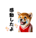 リアルなバスケしば犬（個別スタンプ：21）