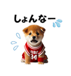 リアルなバスケしば犬（個別スタンプ：38）